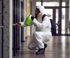 Why You Should Choose Our Mold Remediation Services in Burlington, NC